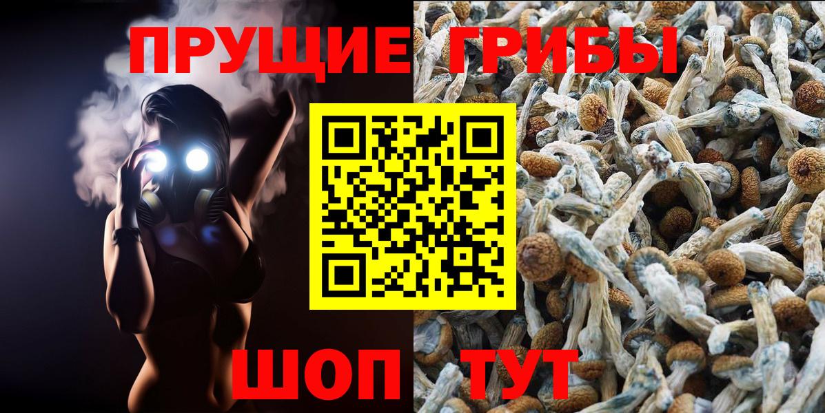 Галлюциногенные грибы GOLDEN TEACHER Сарапул